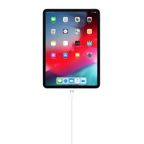 APPLE CHARGER USB-C 1M CABLE MM093ZM/A - Imagen 3
